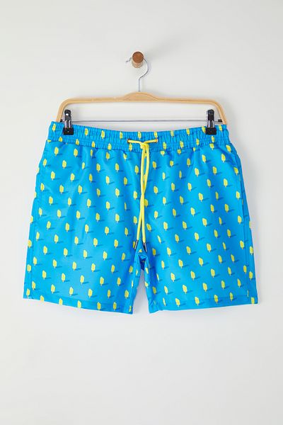 Trendyol Collection Blaue Badeshorts mit Eiscreme-Aufdruck in Standardgröße TMNSS25DS00006