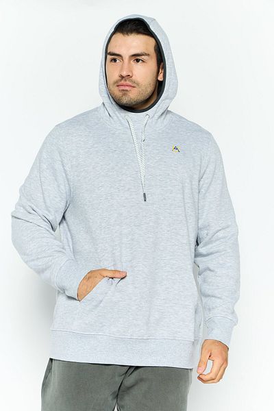 Avalanche Men Sportswear Fit Graphic Print Long Sleeves Outdoor Sweatshirt, Grey