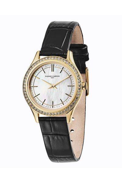 Pierre Cardin Epinettes Female Watch CF.0611.LB.1