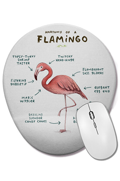 BASKI DÜNYASI Ένα οβάλ ποντίκι με υποστήριξη καρπού Flamingo Anatomy 2