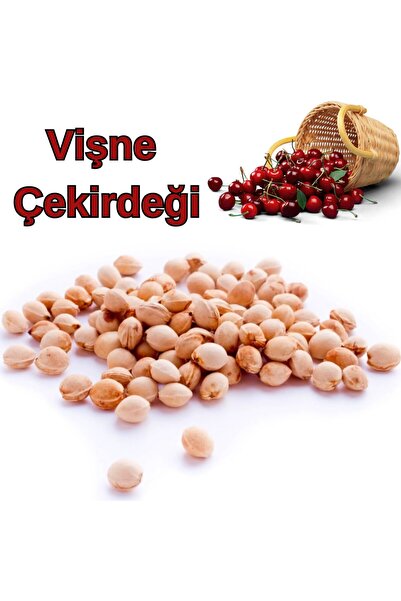 Aktarzane Vişne Çekirdeği 100'lü Paket Yıkanmış