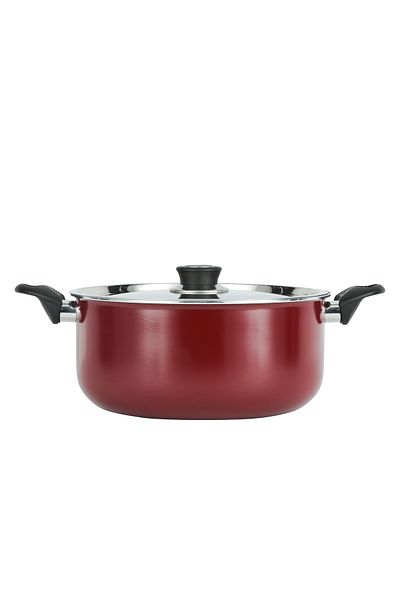 ROYALFORD Non-Stick Cooking Pot 24CM