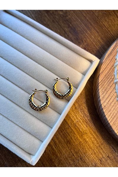 Miltonia Vintage Hook Steel Earrings
