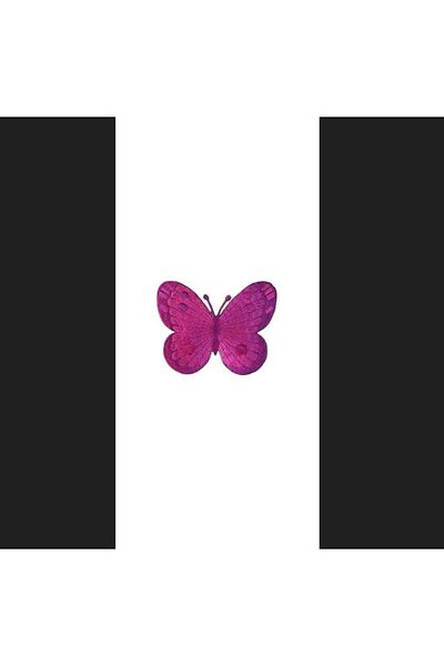 Gül Arma Butterfly 12 Pieces