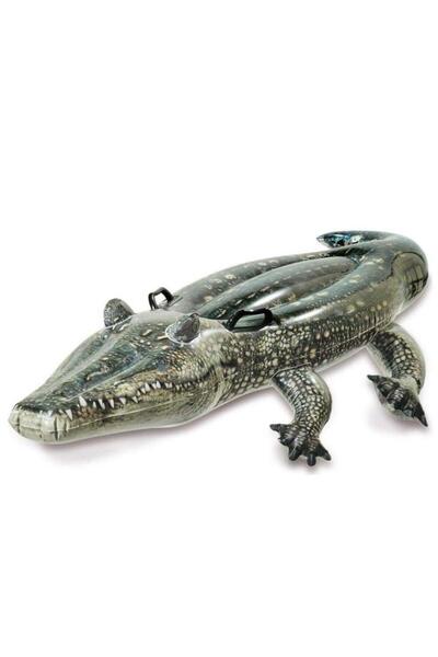 Avantaj Kapıda Gerçekçi Timsah Binici 170x86 Cm İntex - 57551 (Lisinya)