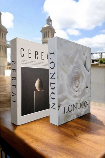 BayCazip Decorative Book Look Box Set of 2 Decorative Book Looking Box