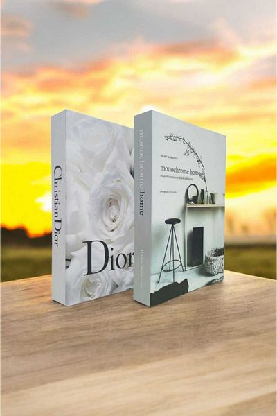 BayCazip Decorative Book Look Box Set of 2 Decorative Book Looking Box