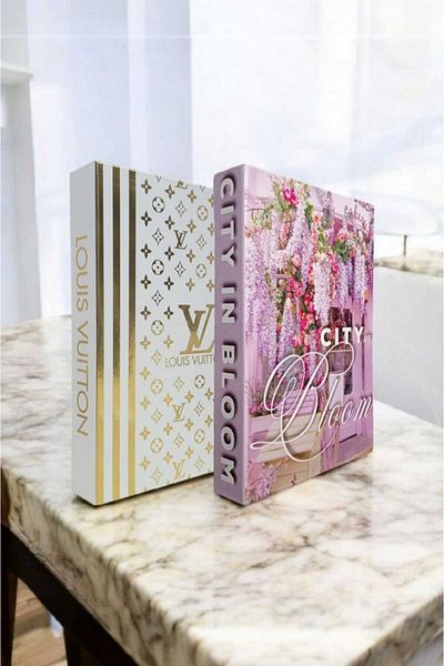 BayCazip Decorative Book Look Box Set of 2 Decorative Book Looking Box