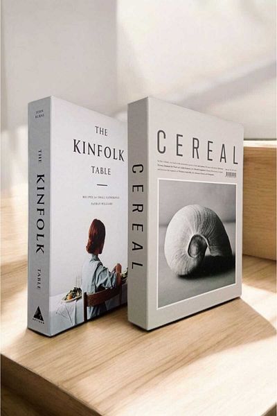 BayCazip Decorative Book Look Box Set of 2 Decorative Book Looking Box