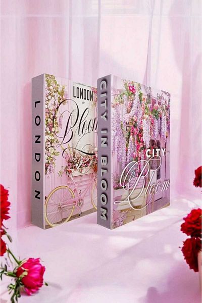 BayCazip Decorative Book Look Box Set of 2 Decorative Book Looking Box