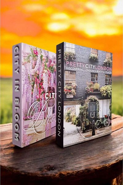 BayCazip Decorative Book Look Box Set of 2 Decorative Book Looking Box