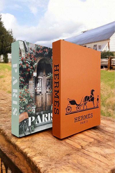 BayCazip Decorative Book Look Box Set of 2 Decorative Book Looking Box