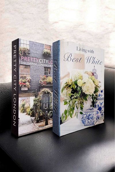 BayCazip Decorative Book Look Box Set of 2 Decorative Book Looking Box
