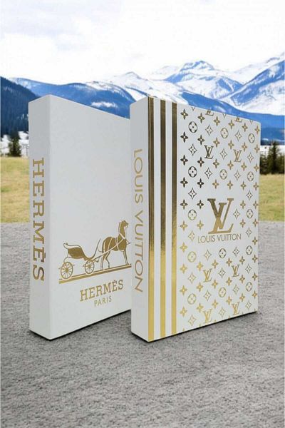 BayCazip Decorative Book Look Box Set of 2 Decorative Book Looking Box