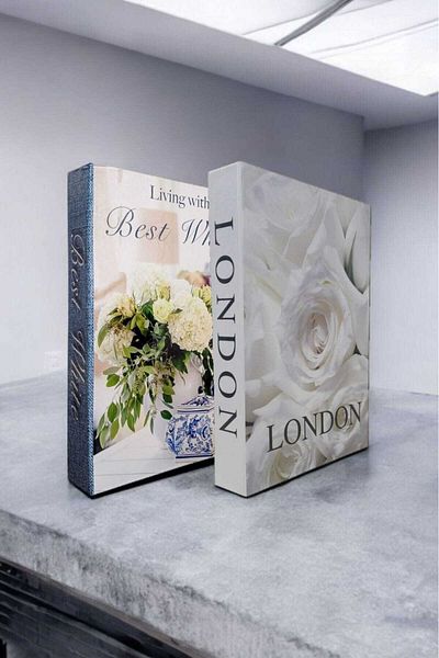 BayCazip Decorative Book Look Box Set of 2 Decorative Book Looking Box