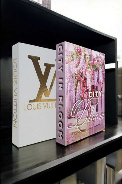BayCazip Decorative Book Look Box Set of 2 Decorative Book Looking Box