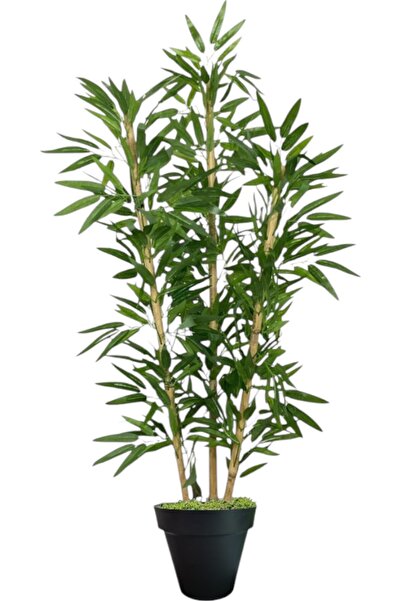 ERHAN FLOWERS ÇİÇEK & DEKORASYON 150 cm ıslak doku bambu  ağaç siyah plastik ...