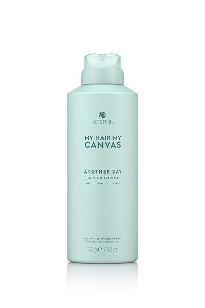 ALTERNA My Hair. My Canvas. Another Day Dry Shampoo, 5 Ounce