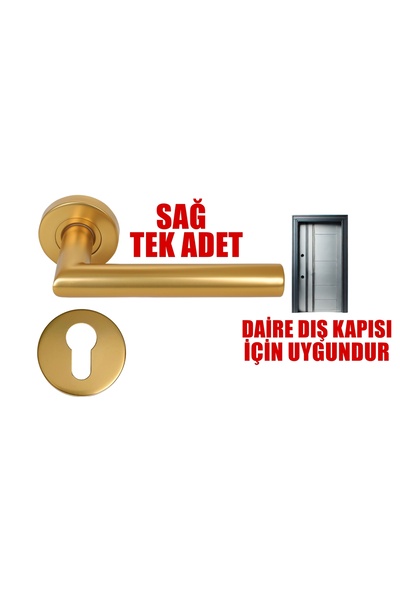Store Vega Matte Gold Yale Type Stainless Door Handle