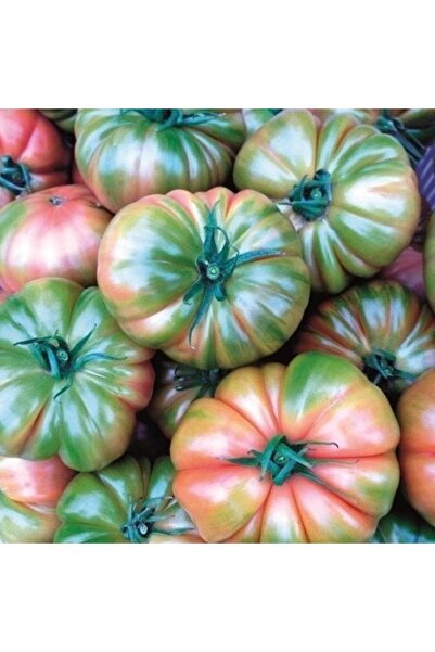 E-fidancim Alaturka Yüksek Raf Ümürlü Kokulu Yarı Sırık Kırmızı Köy  Domates ...