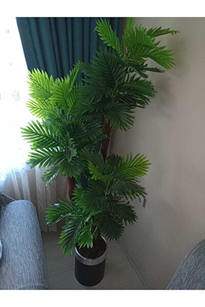 İremÇiçekçilik 3'lü palmiye ıslak dokulu