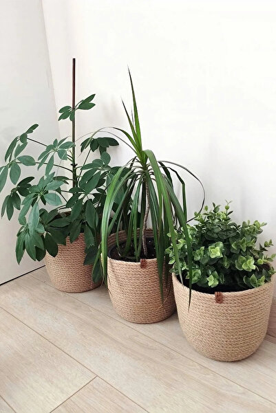 MİEN HOME Jüt Hasır Örgü Dekoratif Üçlü Saksı Sepet