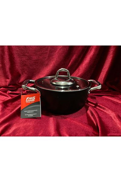 FMS Karam Titanium Deep Pot 20 cm Induction 4mm