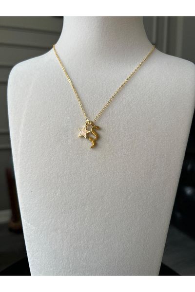 Store Letter S Necklace - with Star Charm and Chain