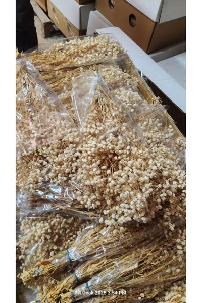 MİRAY FLOWERS HEDİYELİK Şoklanmış krem cipso demeti 1.kalite 22 gr