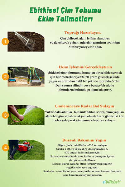 ebitkisel Çok Yıllık Çim Tohumu 5 Kg Uzun Ömürlü 6'lı Karışım Gölge ve Aşırı Güneşli Alan Uygun 4 Mevsim Yeşil