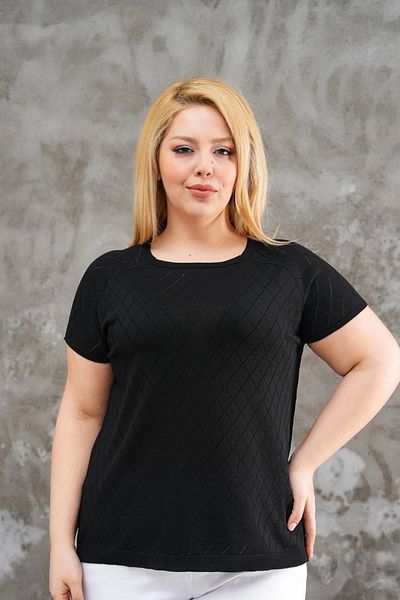 Bİ.GİYSEN Women's Large Size Black Crew Neck Argyle Lycra Cold Thread Knit Thin Knitwear Blouse