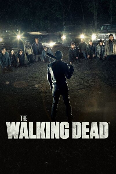 Fidelyo Tasarım The Walking Dead (2010) 21 ( TV - DİZİ ) FOLYO AFİŞ - POSTER