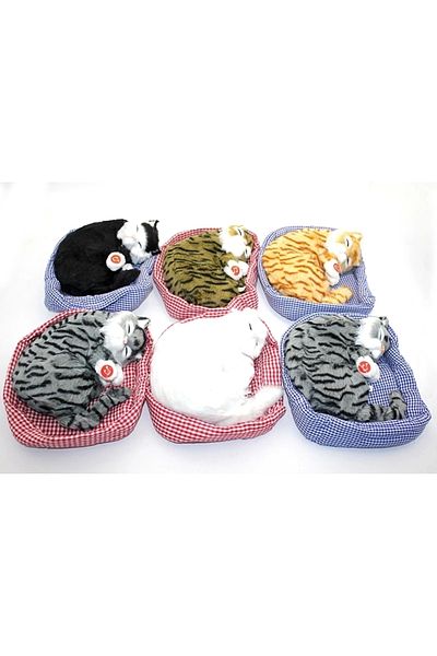 Acousticworld Cat Fits the Pillow Sound Shoes Model Gx9688 - Streetball Ii Men