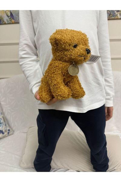 FEN TOYS Poddle Coffee Dog Plush 20 سم رفيق النوم واللعب