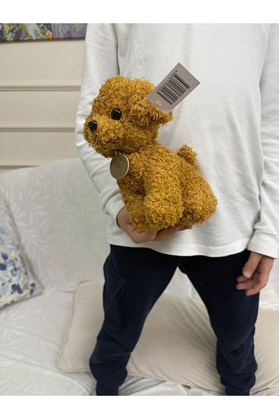 FEN TOYS Poddle Coffee Dog Plush 20 سم رفيق النوم واللعب