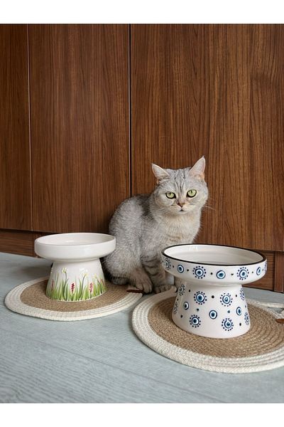 NitruDesign Ceramic Cat and Dog Food Water Bowl