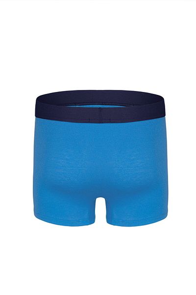 bazaar-turkey all you need Men's Antibacterial Bamboo Boxer 2005 Blue