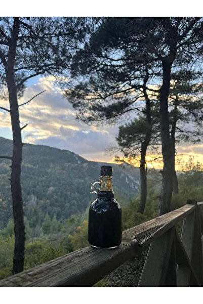 Balkovan Doğal Ballı Çam Kozalağı Pekmezi 600 gr - Katkısız Şifa Serisi