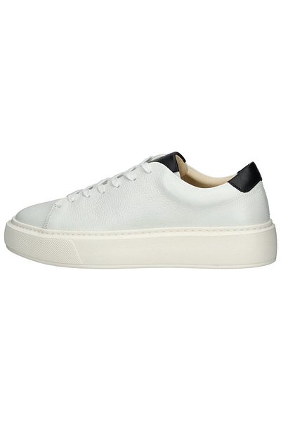 Sneaky Steve Sneaker