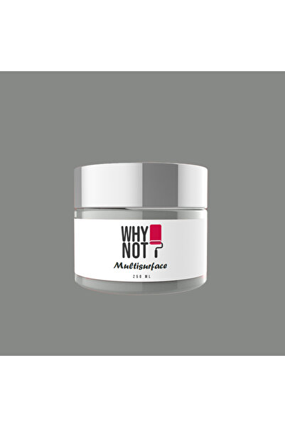 WHY NOT Whynot? Shadows Multisurface Kendinden Vernikli Akrilik Boya