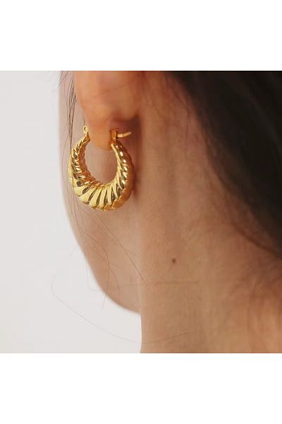 Siya Silver Tarnish Stainless Steel Twisted Vintage Earrings