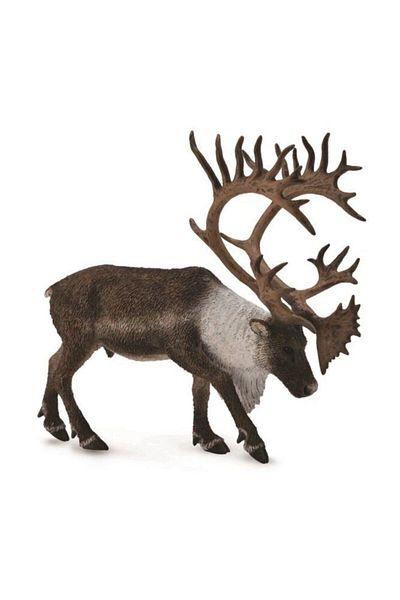 Collecta Reindeer - Fashionable and Comfortable Shoes