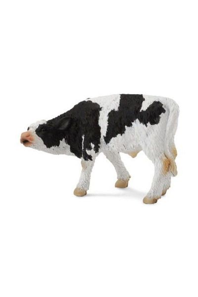 Collecta Ολλανδικό αγελαδινό γάλα ζυθοποίησης