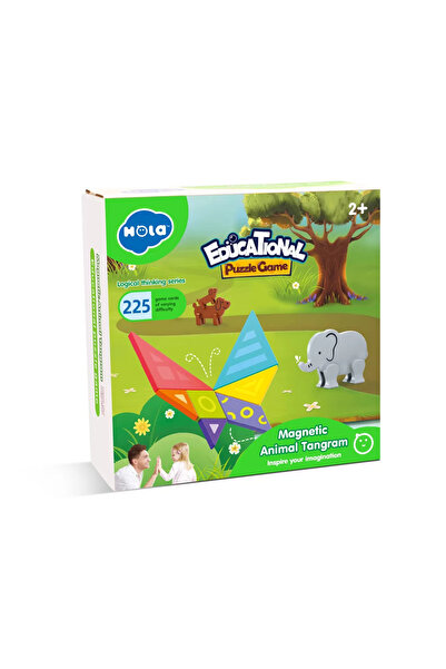 Hola Joc Educational Tangram Magnetic