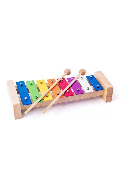 Woody Jucărie din lemn - Xilofon metalic