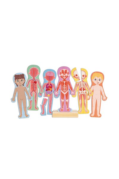 Hape Magnetic Human Body Puzzle (68 PIECES)
