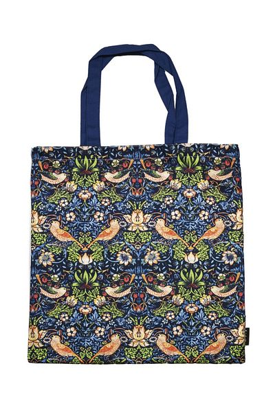 Fridolin Sacosa William Morris Strawberry Thief,