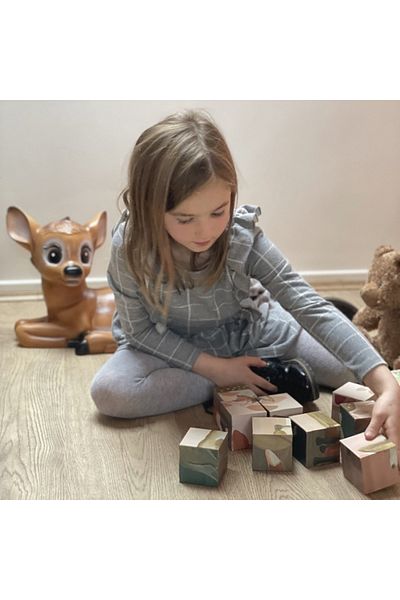 Egmont Toys Cuburi Animale Padure,