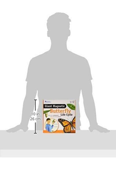 Learning Resources Κύκλος ζωής της γιγαντιαίας μαγνητικής πεταλούδας