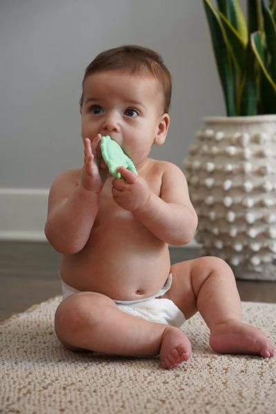 Melii Set of 2 Silicone Teething Toys Dino Shark Model